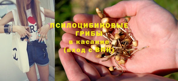 мет Арсеньев