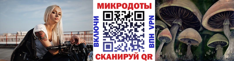 магазин    Малоархангельск  это Telegram  Галлюциногенные грибы прущие грибы 